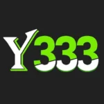 Y333 Game